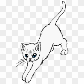 Cat With Scar Cartoon, HD Png Download - warrior cats png