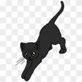Warrior Cats Jackdaw's Cry, HD Png Download - warrior cats png