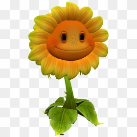 Sunflower Clipart Hd PNG, Sunflower, Sunflower Clipart, Plants Zombies PNG  Image For Free Download