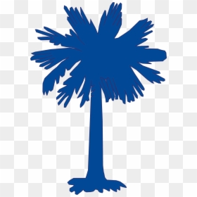 South Carolina Palm Tree Logo, HD Png Download - palmetto tree png