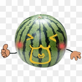 Скачать Картинку Арбуза, HD Png Download - watermelon vector png