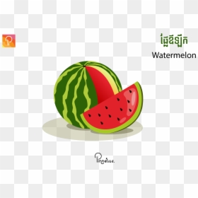 Watermelon, HD Png Download - watermelon vector png