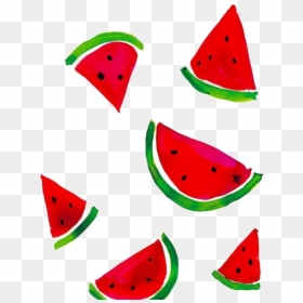 Watermelon Drawing Png, Transparent Png - watermelon vector png