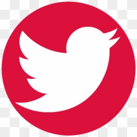 Current Twitter Logo Png, Transparent Png - twitter emblem png