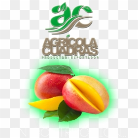 Nectarines, HD Png Download - star fruit png
