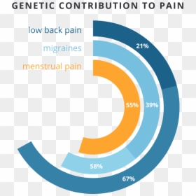 Graphic Design, HD Png Download - authors of pain png