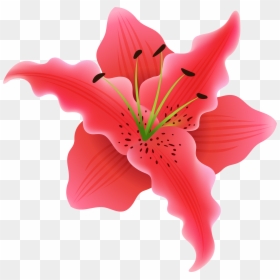 Clip Art, HD Png Download - flowers top view png