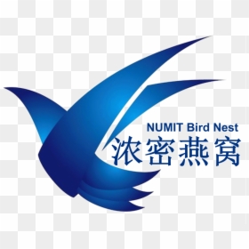 Bird Nest Png Logo, Transparent Png - birds nest png
