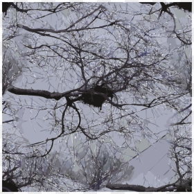Snow, HD Png Download - birds nest png