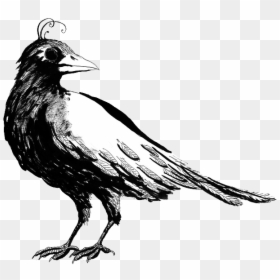 Raven, HD Png Download - birds nest png