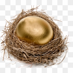 Golden Egg In Nest, HD Png Download - birds nest png