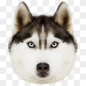 Siberian Transparent Background Husky Puppy Png, Png Download - sad puppy png