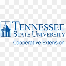 Tennessee State University, HD Png Download - tsu logo png