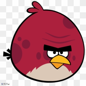 Angry Birds Game Terence, HD Png Download - angry birds red png