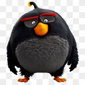 Angry Birds Pelicula Bomb, HD Png Download - angry birds red png