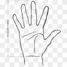 Creases And Arches Of The Hand, HD Png Download - mouse finger png