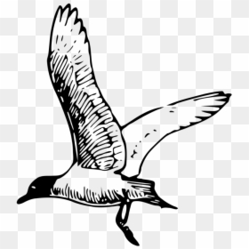 Clip Art, HD Png Download - american revolution png