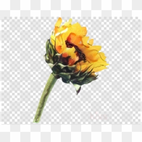 Logo Garena Free Fire, HD Png Download - roses png transparent