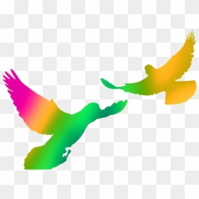 Parrot, HD Png Download - dove bird png
