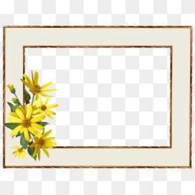 Border Flower Photo Frame, HD Png Download - antique picture frames png