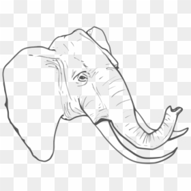 วาด รูป ช้าง ลาย เส้น, HD Png Download - png drawings