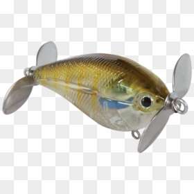 Bait Fish, HD Png Download - spin master logo png