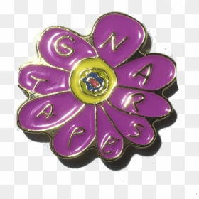 Brooch, HD Png Download - gnar png