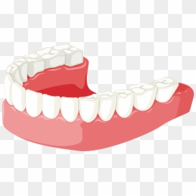 Jaw Clipart, HD Png Download - jaw png