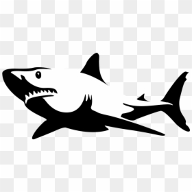 Black And White Shark Png, Transparent Png - jaw png