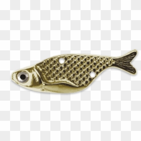 American Gizzard Shad, HD Png Download - bait png