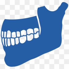 Clip Art, HD Png Download - jaw png
