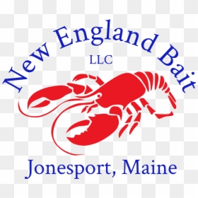 Dungeness Crab, HD Png Download - bait png