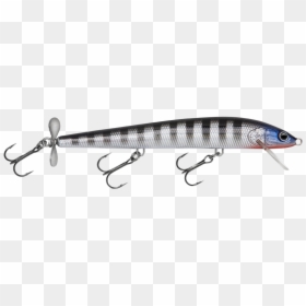 Sardine, HD Png Download - bait png