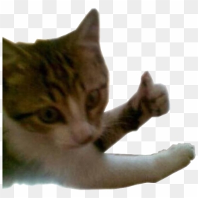 Joinha Png, Transparent Png - joinha png