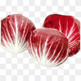 Chicory Salad Png, Transparent Png - salad.png