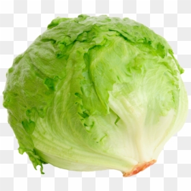 Head Of Lettuce, HD Png Download - salad.png
