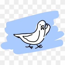 Clipart Seagull - Portable Network Graphics, HD Png Download - seagull clipart png