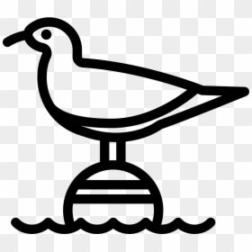 Seagull Vector Clip Art - Seagull Icon Png, Transparent Png - seagull clipart png