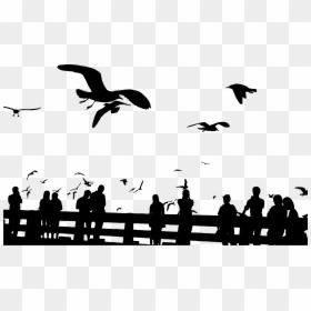 Migration People Silhouette Png, Transparent Png - seagull clipart png