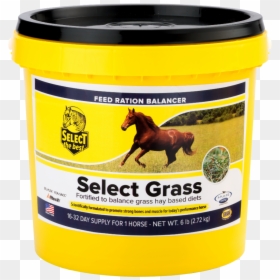 Horse, HD Png Download - yellow grass png