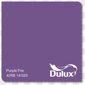 Kangaroo, HD Png Download - purple paint png