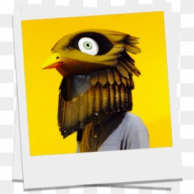 Hornbill, HD Png Download - birdo png