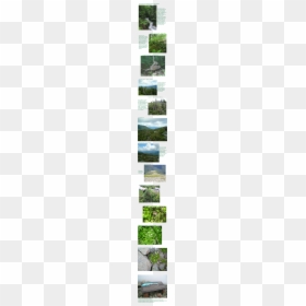 Grass, HD Png Download - white mountain png