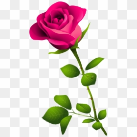 Pink Rose With Stem, HD Png Download - plant border png