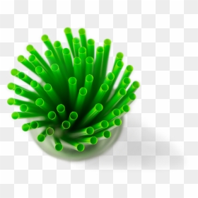 Biodegradable Green Straws, HD Png Download - straws png