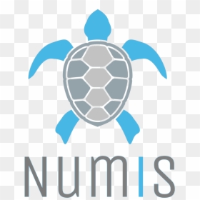 Turtle Black And White Clipart, HD Png Download - straws png