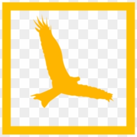 Golden Eagle, HD Png Download - pajaro png