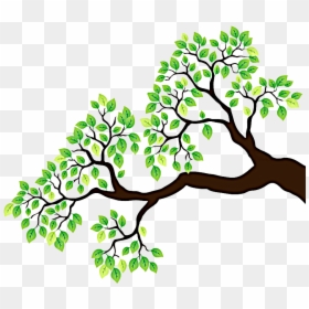 Forest And Land Restoration, HD Png Download - tree branch clipart png