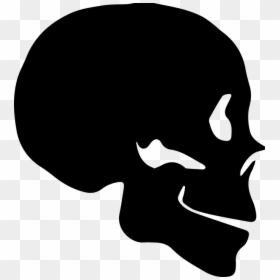 Skull Silhouette Side, HD Png Download - cat skull png