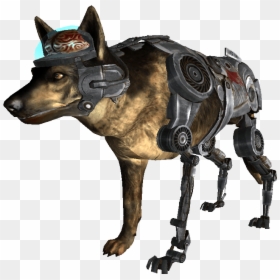 Rex New Vegas, HD Png Download - conker's bad fur day png